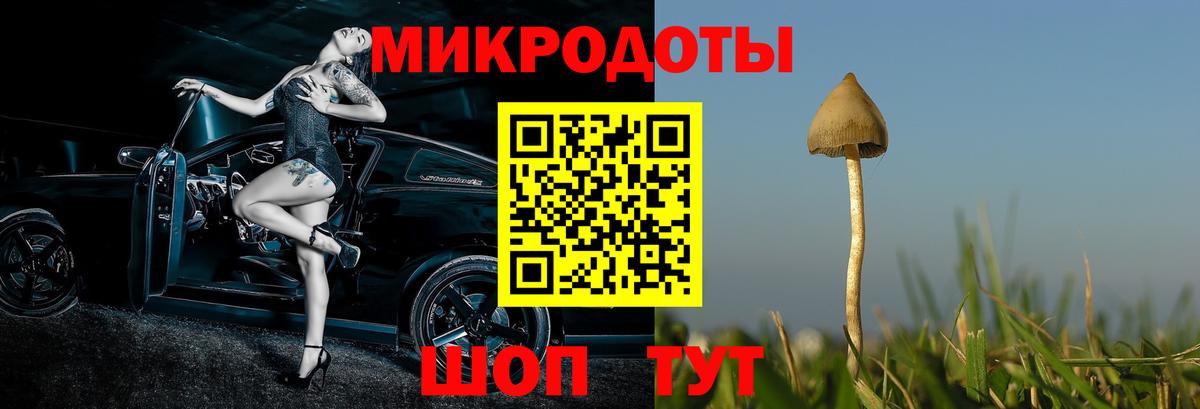 Старая Купавна  Псилоцибиновые грибы GOLDEN TEACHER  Вход с VPN 